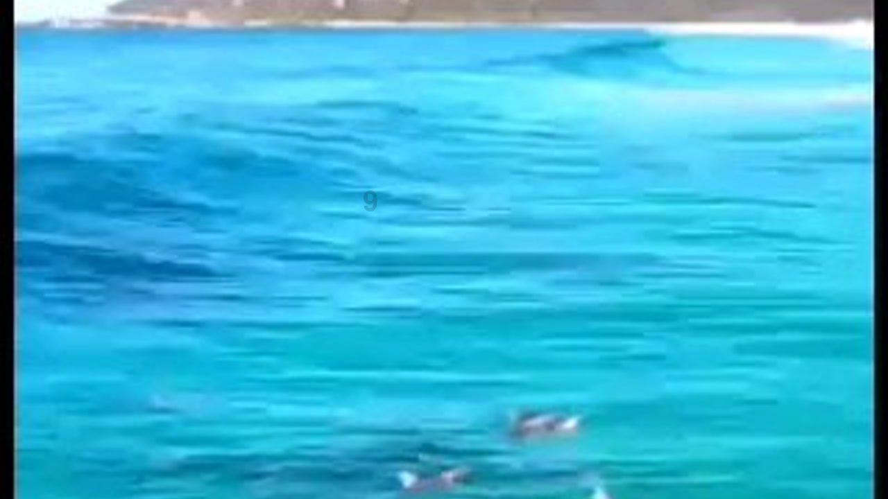 月光影视