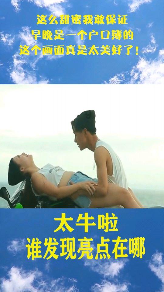 破碎的动物图形3